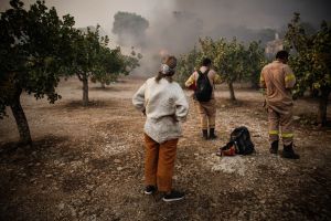Το Φεστιβάλ Αθηνών-Επιδαύρου στηρίζει τους πυρόπληκτους