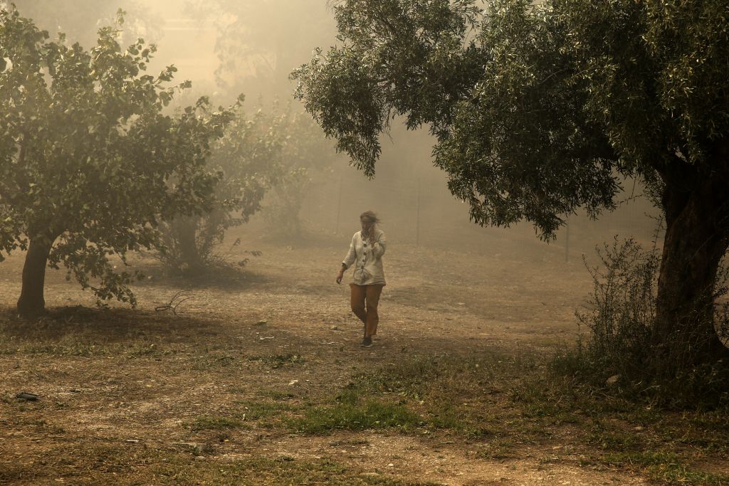 Σε εξέλιξη πυρκαγιά σε πευκοδάσος στην Αλεξανδρούπολη