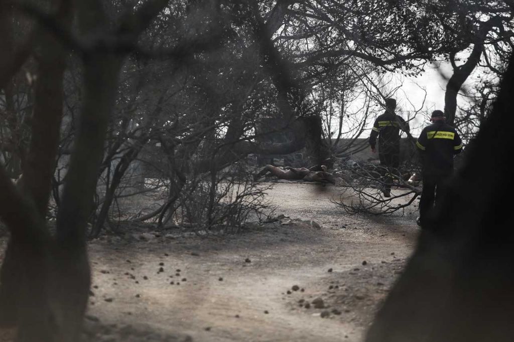Βρέθηκαν 26 νεκροί σε χωράφι στην Αργυρά Ακτή
