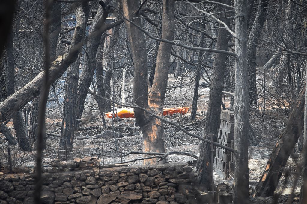 Δήμαρχος Ραφήνας : Είναι εμφανές ότι έγιναν λάθη – Ανάγκη για αίμα