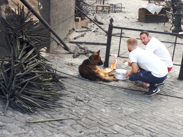 Η νέα «Αποκάλυψη τώρα»
