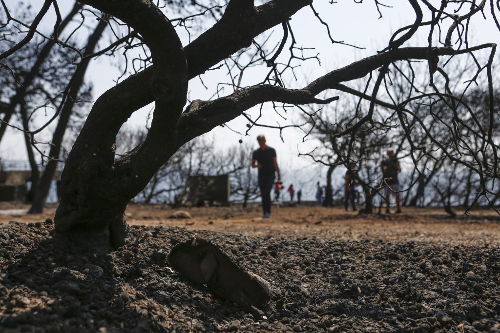 Λογαριασμό για τους πυρόπληκτους άνοιξε η ΕΡΤ