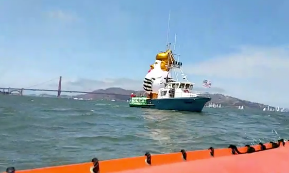 Η «κότα Τραμπ» άνοιξε πανιά στον κόλπο του Σαν Φρανσίσκο