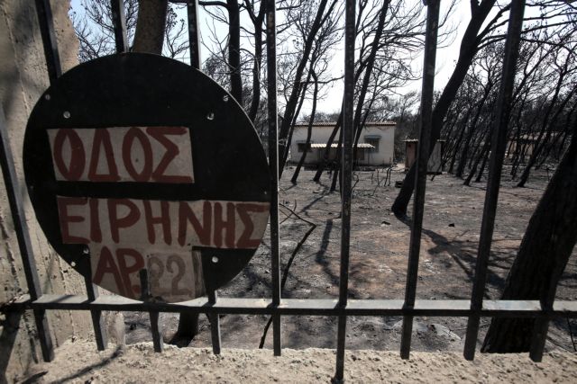 Πολιτιστικοί φορείς, σύλλογοι και καλλιτέχνες στο πλευρό των πληγέντων