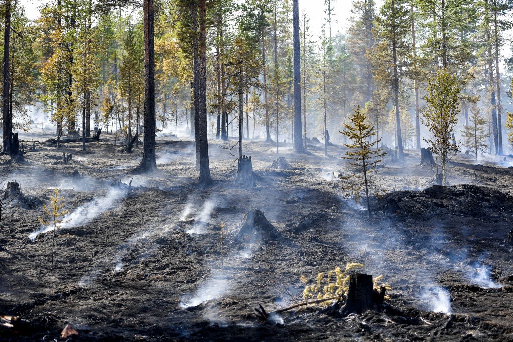 Σουηδία : Βελτιώνεται η κατάσταση με τις πυρκαγιές
