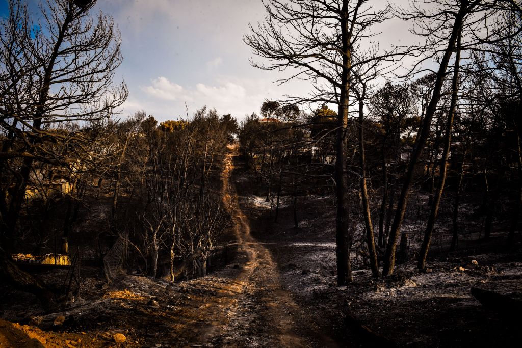 Πρόγραμμα ενίσχυσης από τον ΕΤΕπ για την αντιμετώπιση δασικών πυρκαγιών