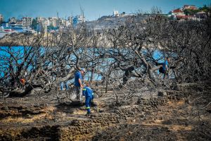 Πρωτοβουλίες αποκατάστασης του περιβάλλοντος μετά τις δασικές πυρκαγιές