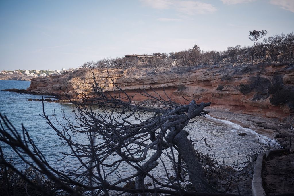 Πυρκαγιές : Αβάσταχτος ο πόνος για την οικογένεια Φύτρου που ξεκληρίστηκε