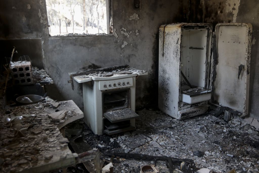 Μάτι: Σκύλος έζησε κρυμμένος μέσα στον φούρνο καμένου σπιτιού (βίντεο)