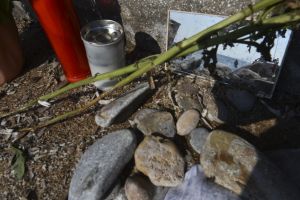 Πυρκαγιές : «Συγγνώμη στους νεκρούς» – Κάλεσμα για συγκέντρωση στο Σύνταγμα