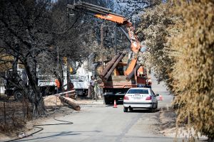 Αρχισε η υλοτόμηση των καμμένων δέντρων στην Μαραθώνος