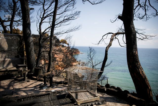 «Θέλω οι ένοχοι να λογοδοτήσουν»