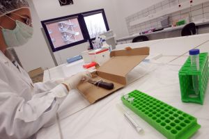 «Προσπαθούμε να δουλεύουμε χωρίς να σκεφτόμαστε» λένε οι άνθρωποι που ταυτοποιούν το DNA