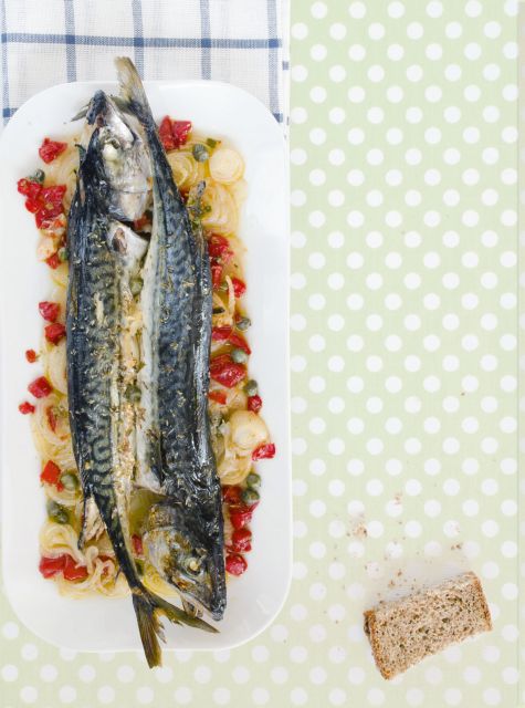 Σκουμπρί πλακί