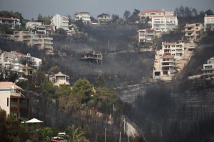 Μάτι: Χρειάζονται άμεσα φράγματα για να μην πνιγούν το χειμώνα