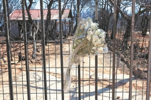 Ανοίγει η «αυλαία» μιας δίκης – ορόσημο