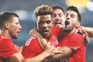 Ο Βλαχοδήμος, ο Φέισα και ο νεοσσός