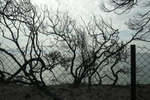 Δημοτικός Σύμβουλος Μαραθώνα: Αφαντοι Δούρου και Ψινάκης τις κρίσιμες ώρες