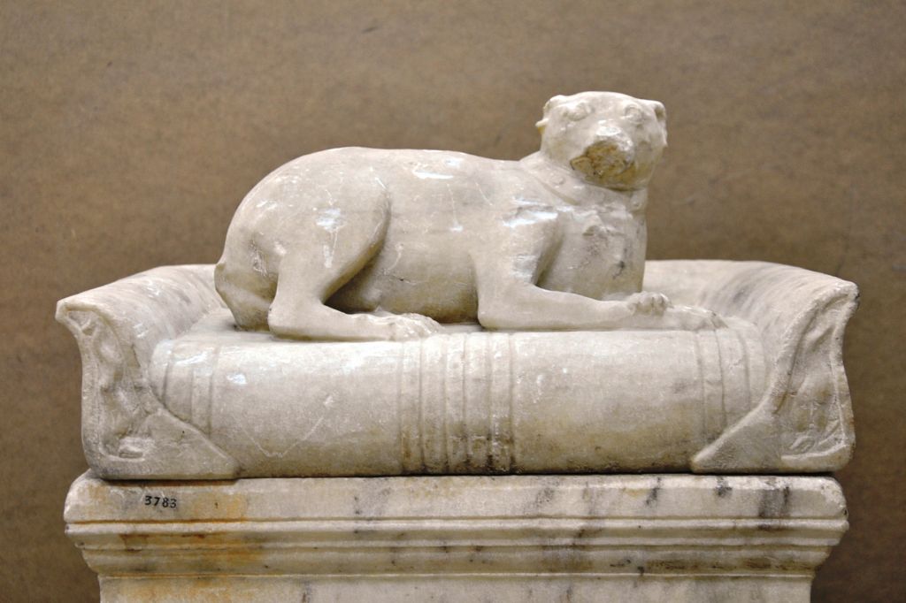 Αρχαιολογικό Μουσείο: Σπάνια σαρκοφάγος με την ολόγλυφη μορφή σκύλου
