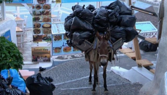 Ομπρέλα προστασίας για τα γαϊδουράκια της Σαντορίνης