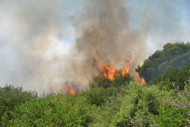 Προσήγαγαν δυο ανήλικους για πρόκληση φωτιάς στη Χαλκιδική