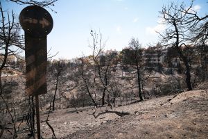 Την οδύνη της για τα θύματα της πυρκαγιάς εκφράζει η OΕΚ Γερμανίας