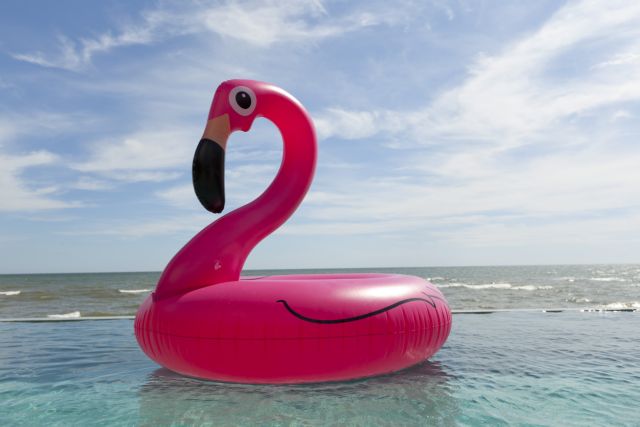 Με ένα flamingo στην… πλάτη