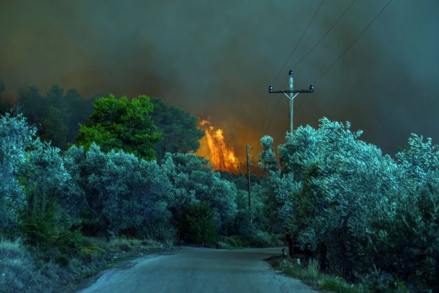 Αρχές του 2019 οι αποζημιώσεις του ΕΛΓΑ για τις πυρκαγιές στην Εύβοια