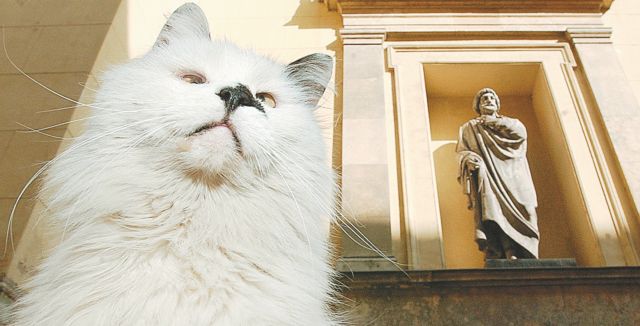 «Οι γάτες στην ιστορία της τέχνης» στο Παρίσι