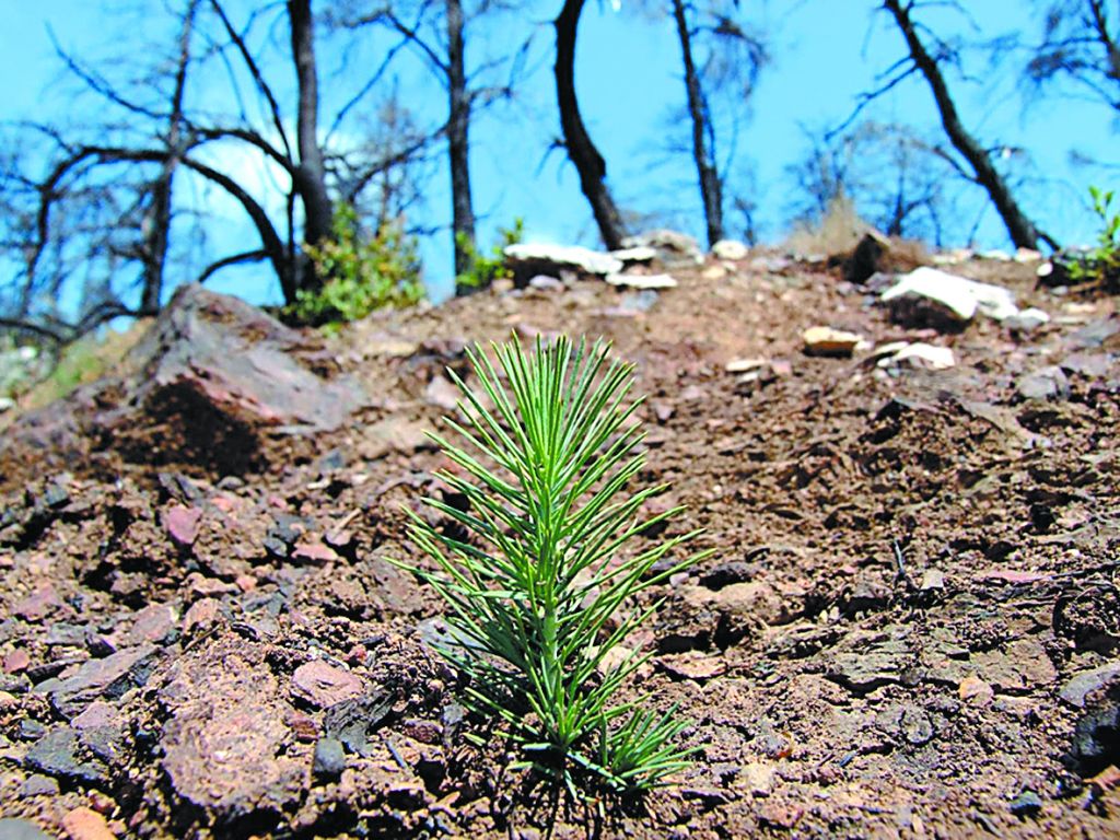 Η πρόταση στον Τσίπρα