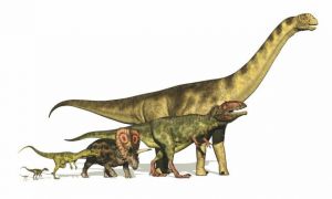 Δεινόσαυροι : Σε τι οφείλεται η ποικιλία σχημάτων και μεγεθών