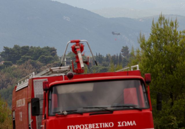 Νέα Μάκρη: Σε εξέλιξη η πυρκαγιά