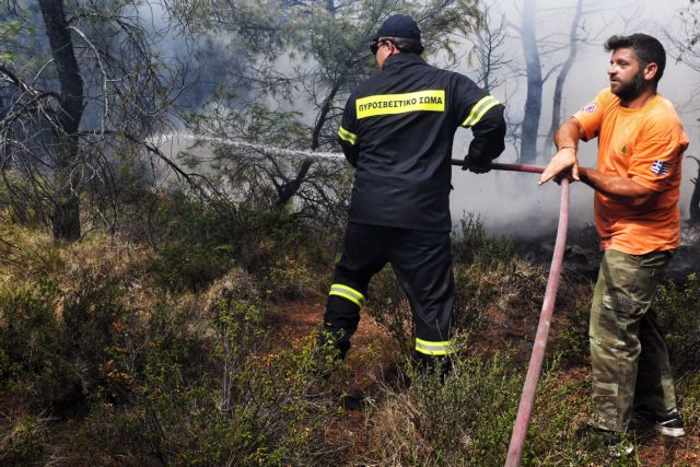 Υπό έλεγχο πυρκαγιά στο Σέσι Γραμματικού