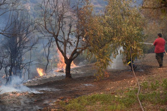 Φωτιά στην Εύβοια: Δεν εμπνέει πλέον ανησυχία