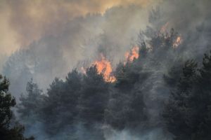 Πυρκαγιά σε δασική έκταση στον Τύρναβο