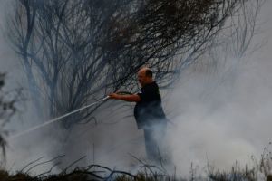 Υπό μερικό έλεγχο η πυρκαγιά στις Ροβιές Εύβοιας