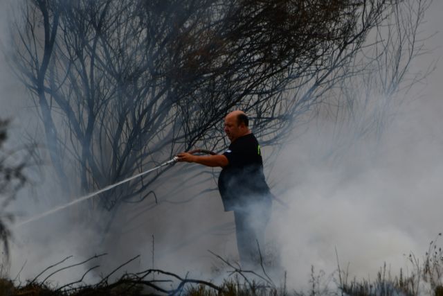 Υπό μερικό έλεγχο η πυρκαγιά στις Ροβιές Εύβοιας