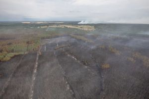 Υποψίες εμπρησμού για την πυρκαγιά κοντά στο Βερολίνο