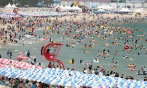 Μετά τον καύσωνα, κίνδυνος επισιτιστικής κρίσης