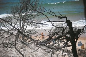 Αρχές Σεπτέμβρη οι πρώτες απολογίες