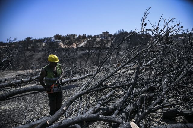 Παραίτηση των πυρόπληκτων από οικονομικές απαιτήσεις για διορισμό στο Δημόσιο