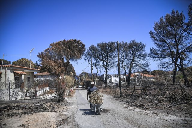 Συγκέντρωση του ΚΚΕ τη Δευτέρα στη Νέα Μάκρη για τις πυρκαγιές