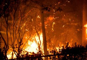 Πολύ υψηλός κίνδυνος πυρκαγιάς το Σάββατο (δείτε τον χάρτη)