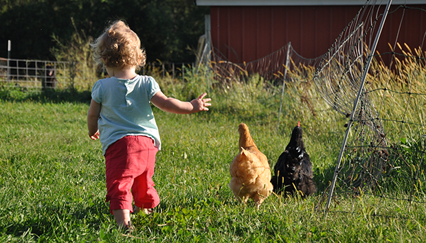 Για πρώτη φορά σε αγρόκτημα με το παιδί σας