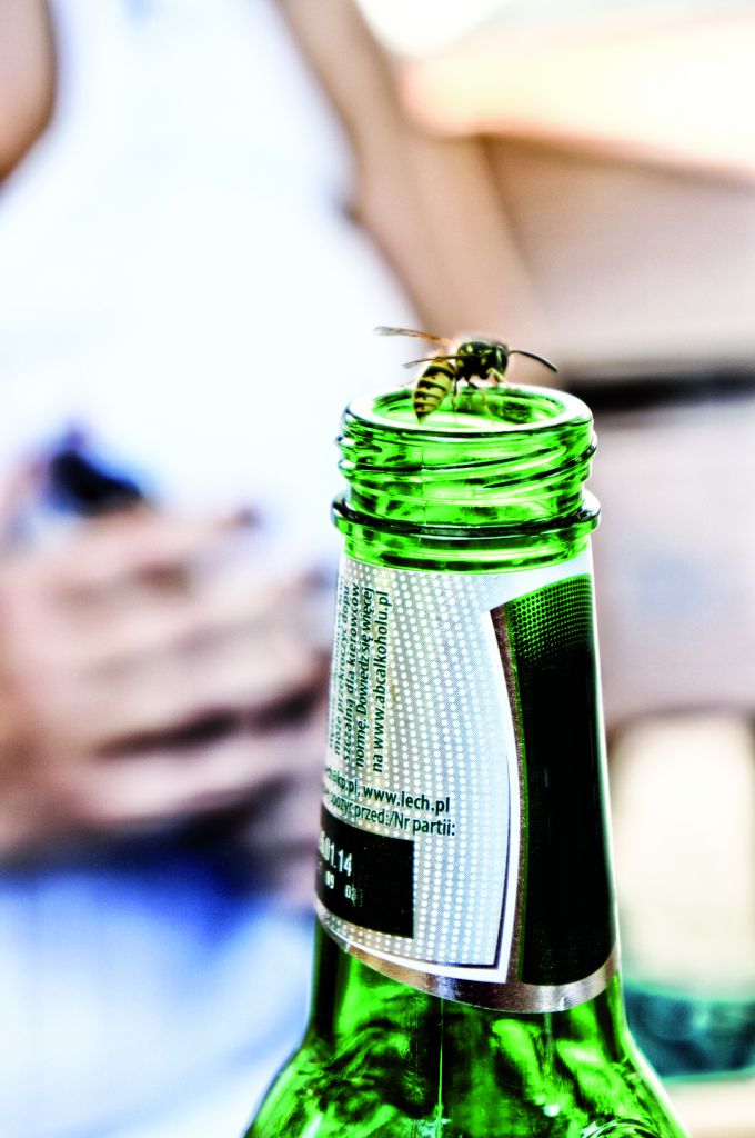 Το τσούζουν και οι… σφήκες