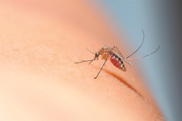 Αιμοληψίες στοπ, λόγω κρουσμάτων