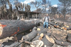 Αναπάντητα «γιατί» και ανοιχτές πληγές