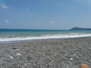 Τα ζώδια λίγο πριν την τελευταία πανσέληνο του καλοκαιρού