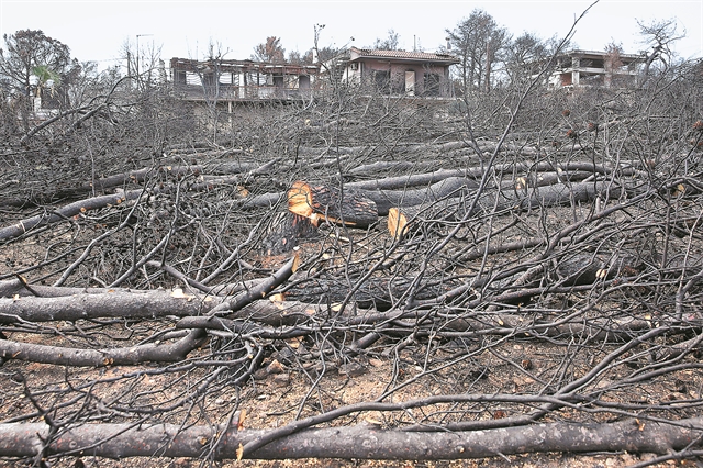 Ξανά στις ράγες οι έρευνες για το Μάτι