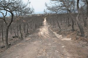 Ζώντας με τον φόβο για τα πρωτοβρόχια